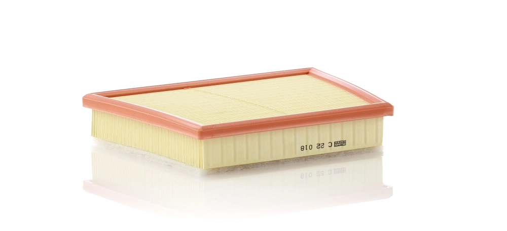 Air Filter C 22 018