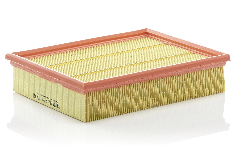 Air Filter C 26 126