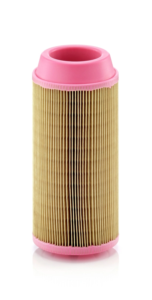 Air Filter EUROPICLON C 11 100