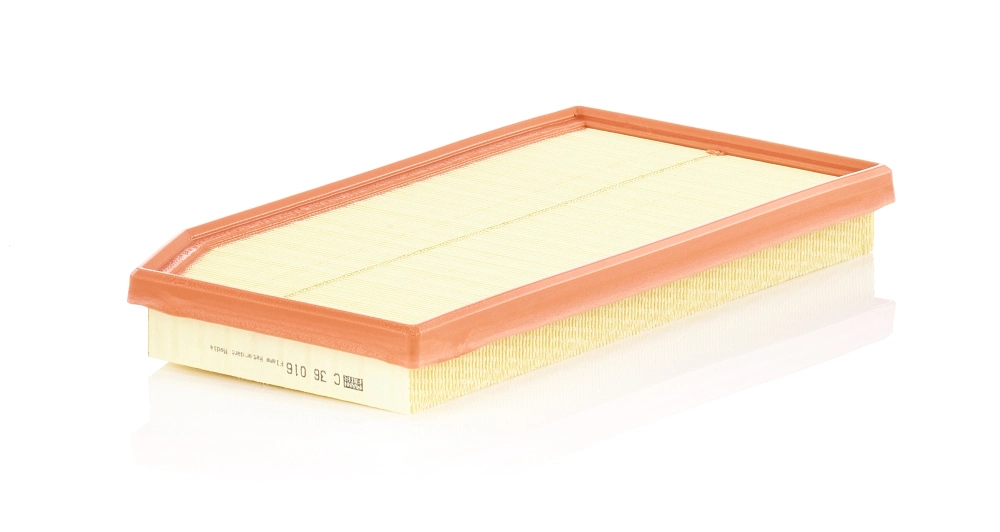 Air Filter C 36 016