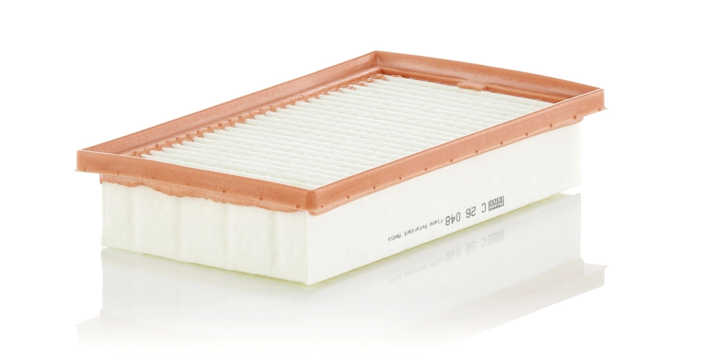 Air Filter C 26 048