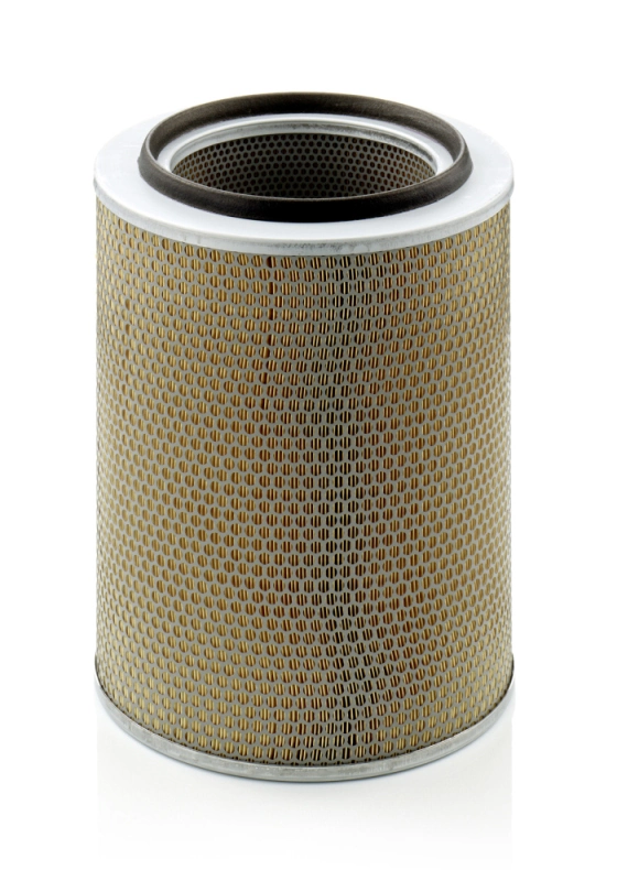 Air Filter C 30 703