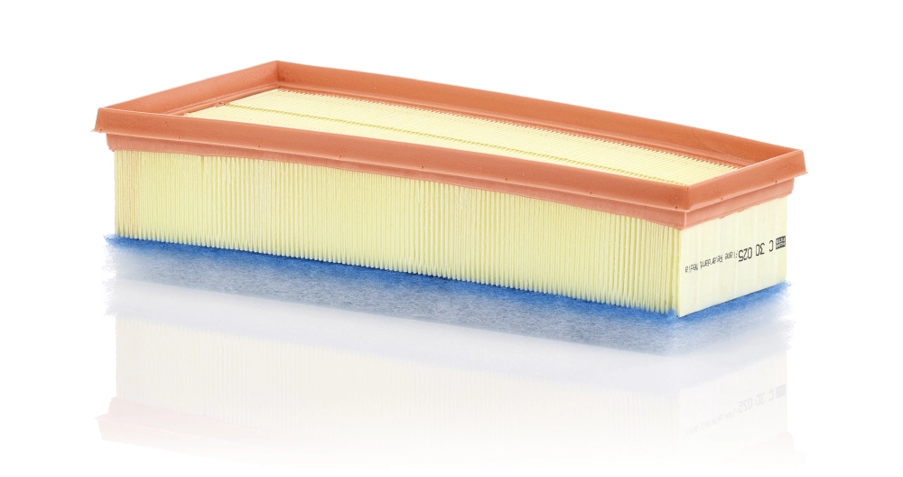 Air Filter C 30 025