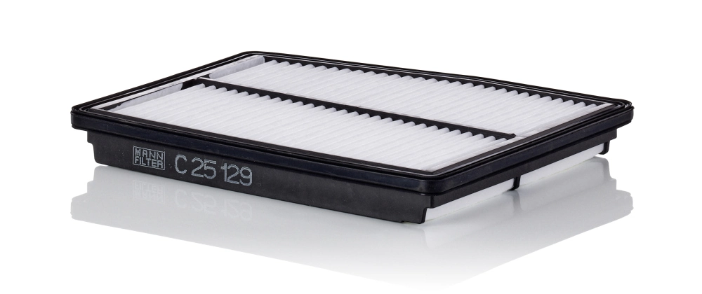 Air Filter C 25 129