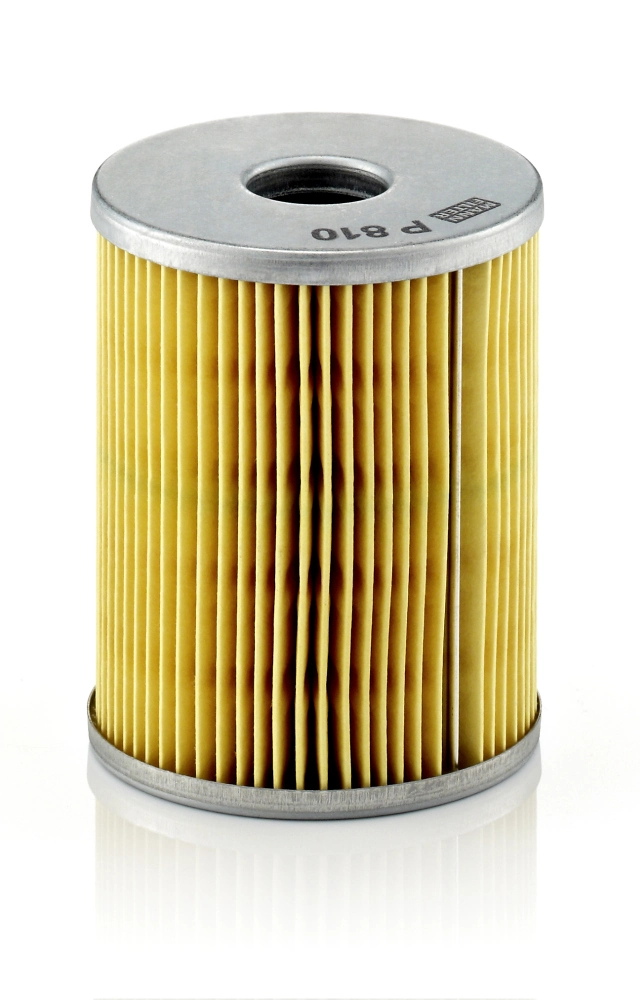 Fuel Filter P 810 x