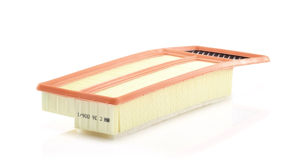 Air Filter C 36 006/1