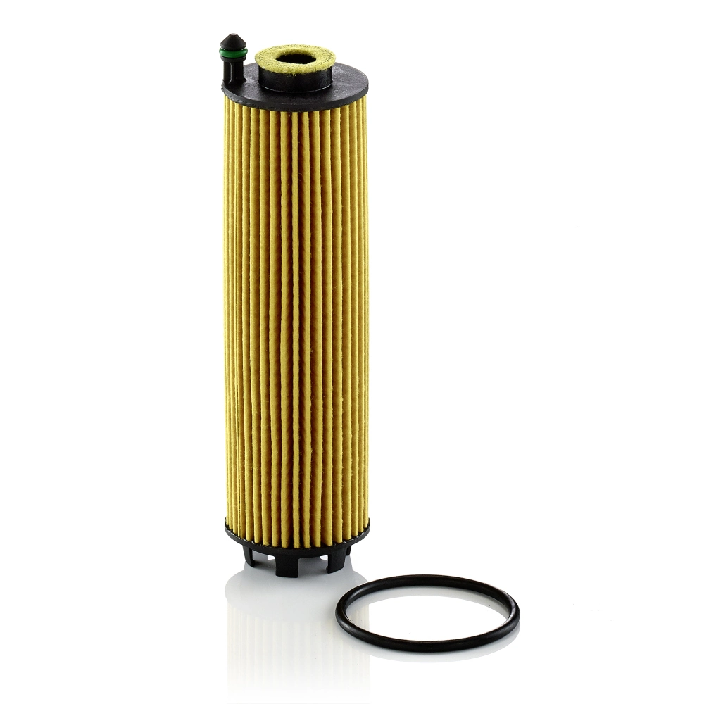 Oil Filter HU 6028 z