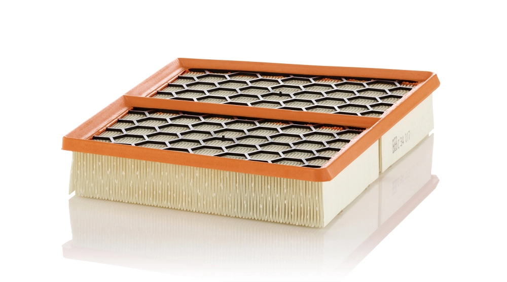 Air Filter C 34 017