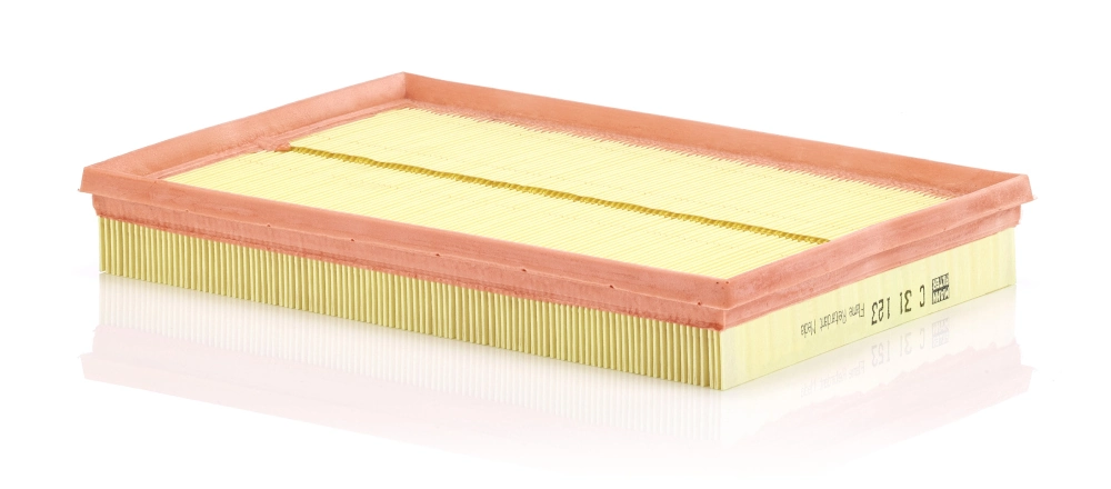 Air Filter C 31 123