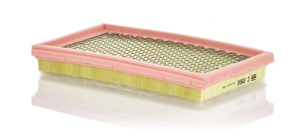 Air Filter C 2966