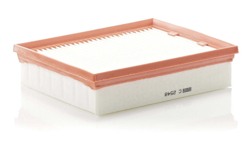 Air Filter C 2548