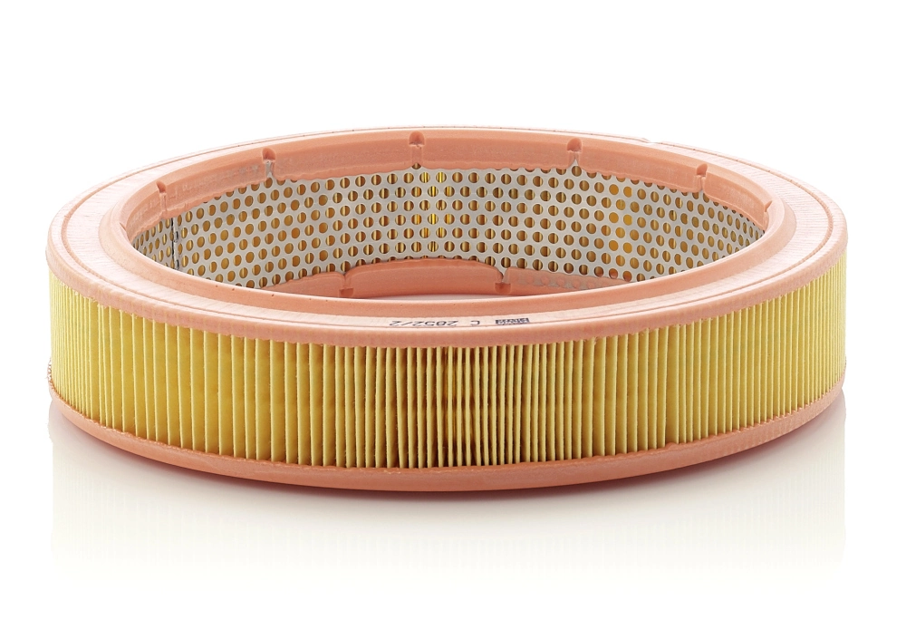 Air Filter C 2852/2