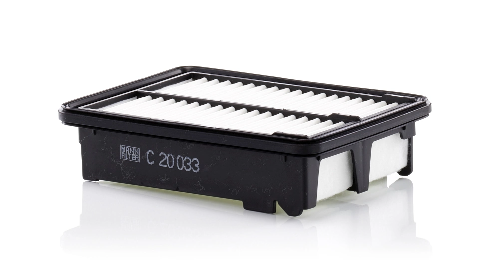 Air Filter C 20 033