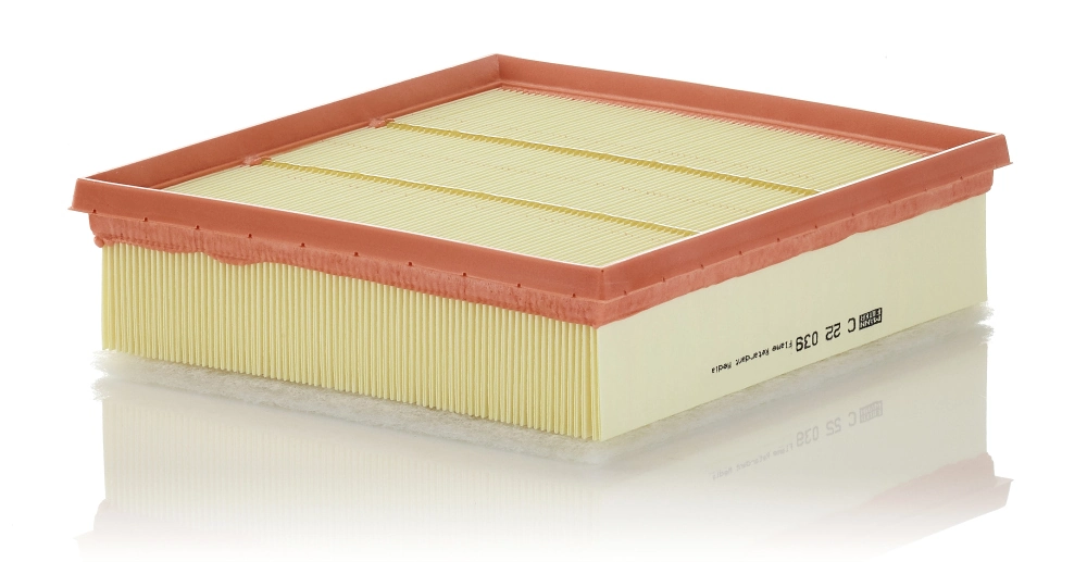 Air Filter C 22 039