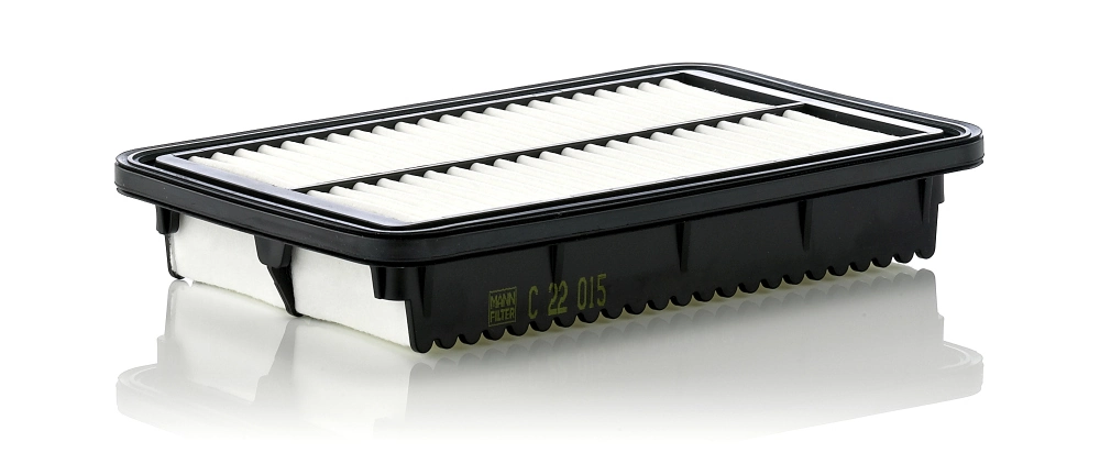 Air Filter C 22 015