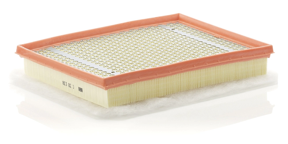 Air Filter C 30 138