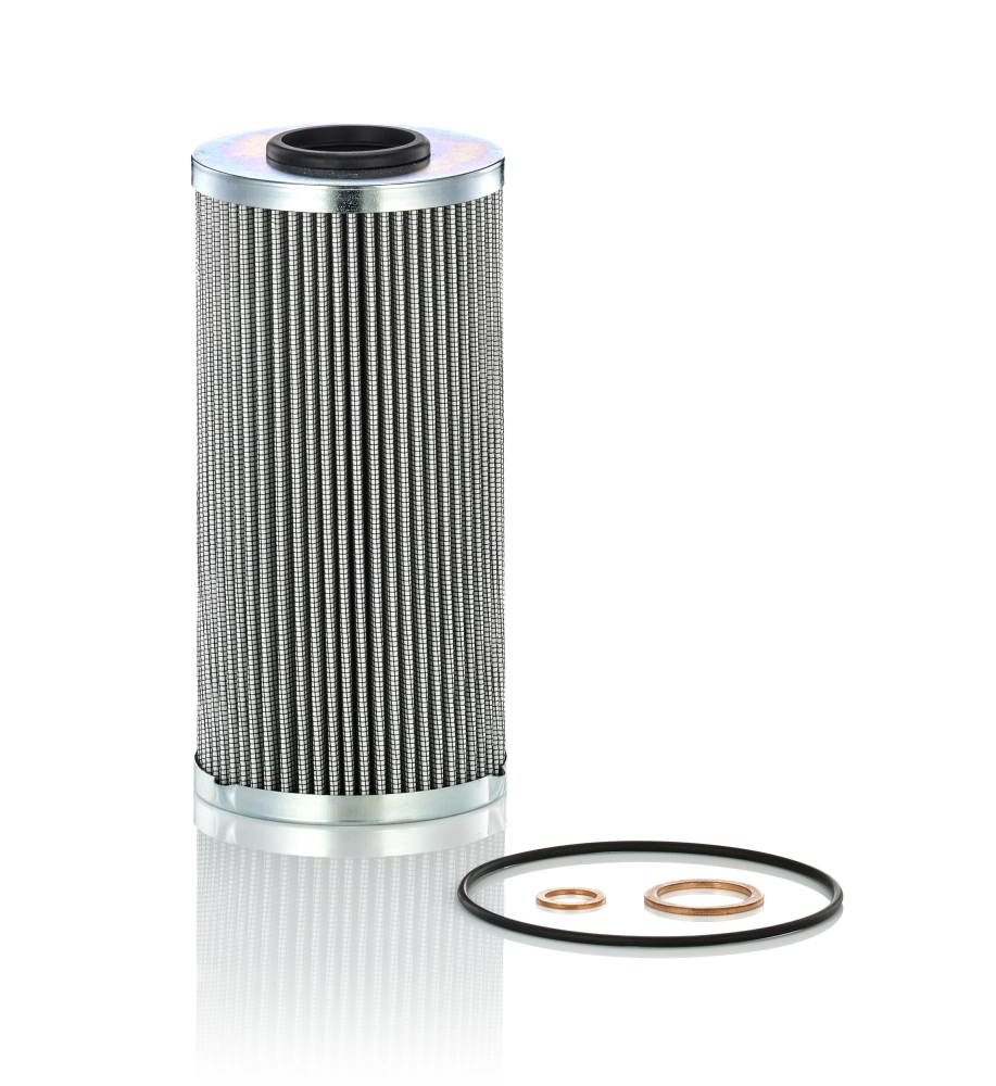 Hydraulic Filter, automatic transmission H 10 009 z