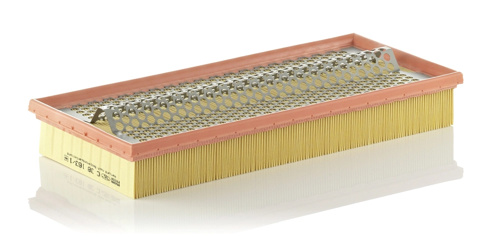 Air Filter C 38 163/1