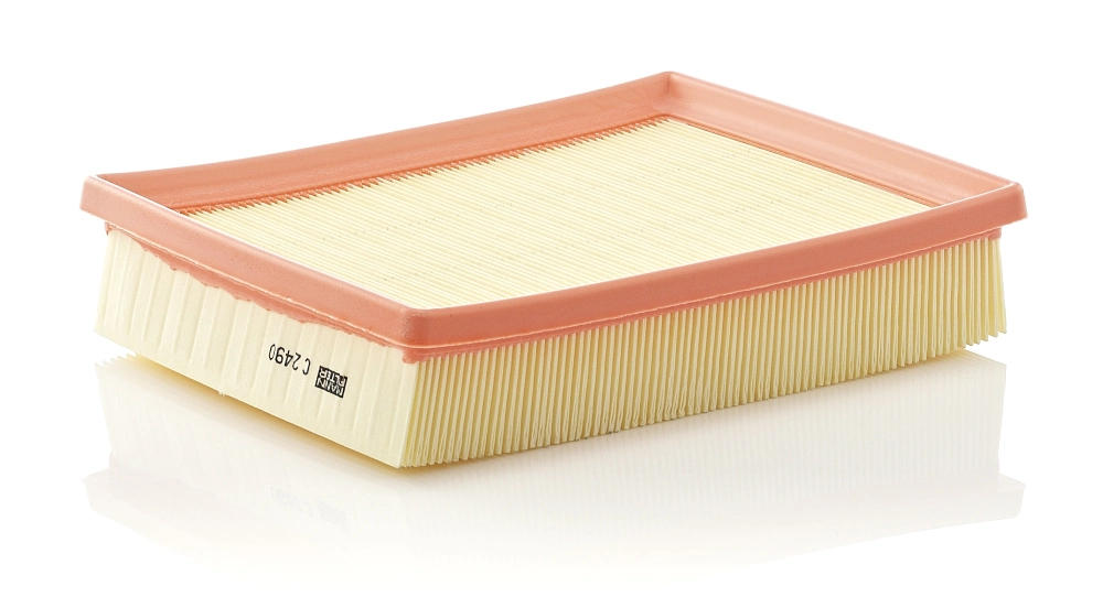 Air Filter C 2490