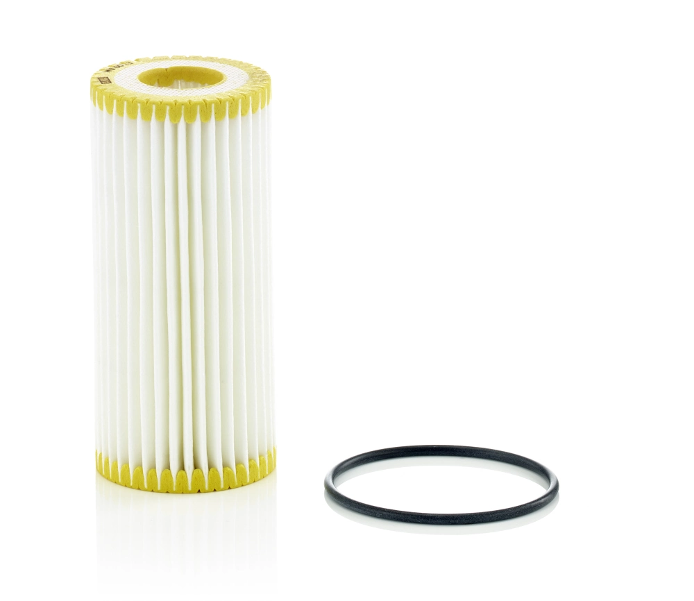 Oil Filter HU 6013 z