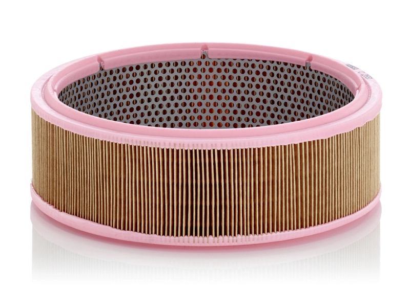 Air Filter C 2651