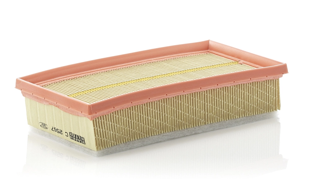 Air Filter C 2567