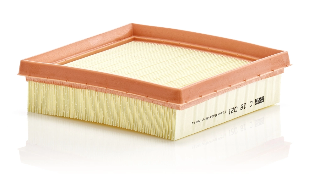 Air Filter C 18 021