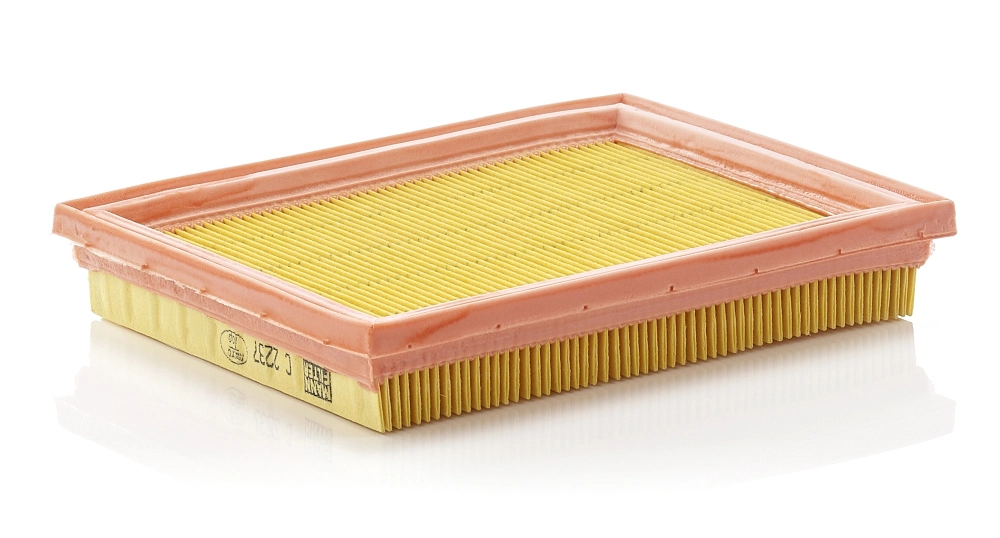 Air Filter C 2237