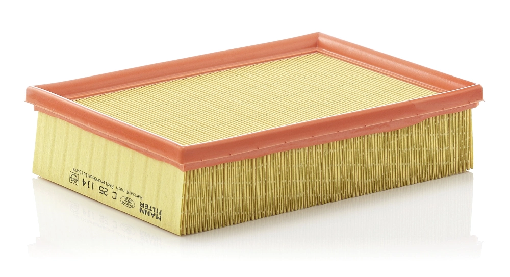 Air Filter C 25 114