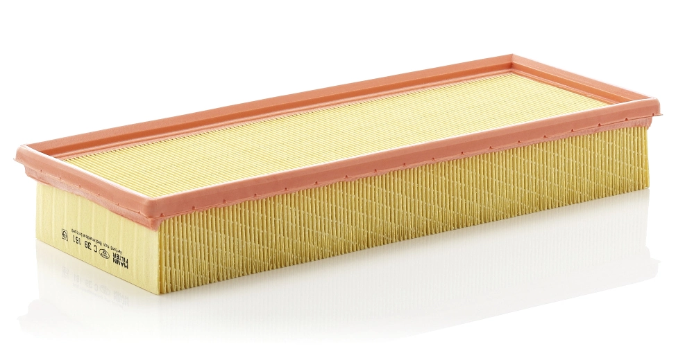Air Filter C 39 161