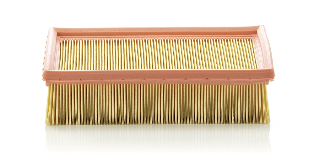 Air Filter C 24 105