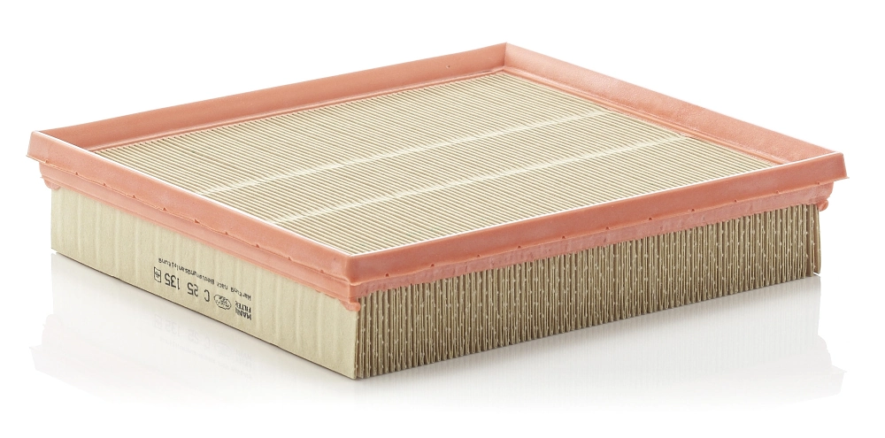 Air Filter C 25 135