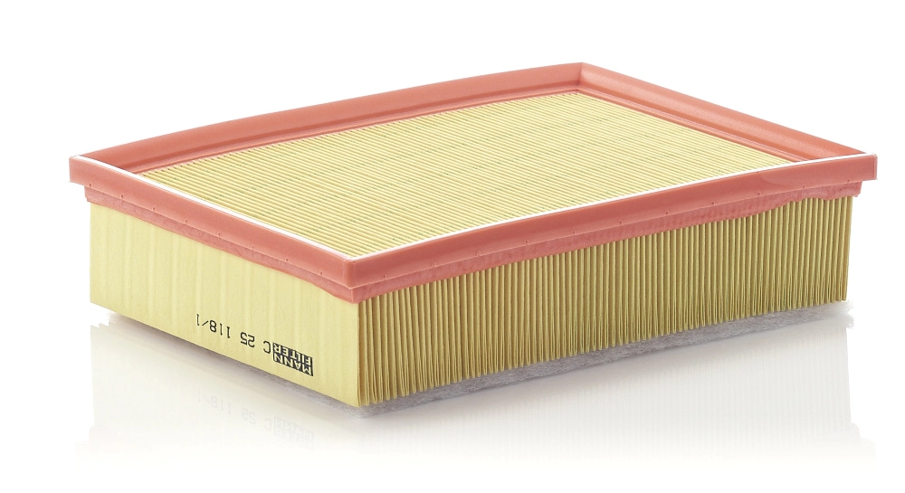 Air Filter C 25 118/1