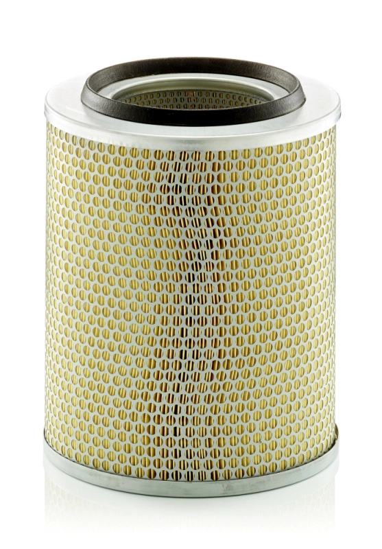 Air Filter C 24 393