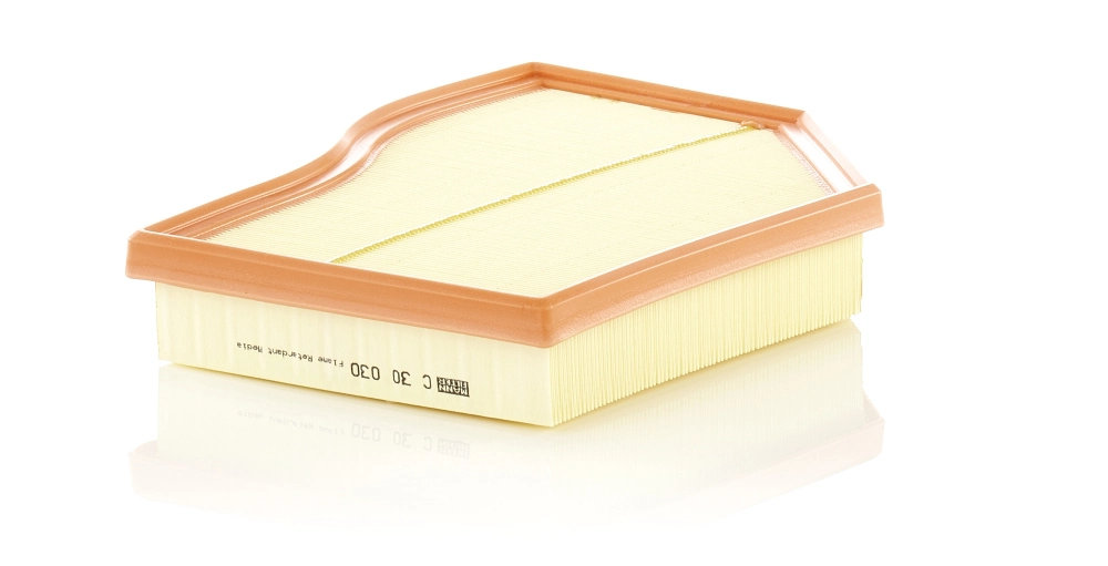 Air Filter C 30 030