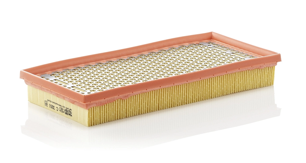 Air Filter C 3261