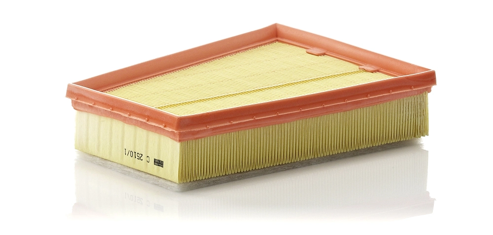 Air Filter C 2510/1
