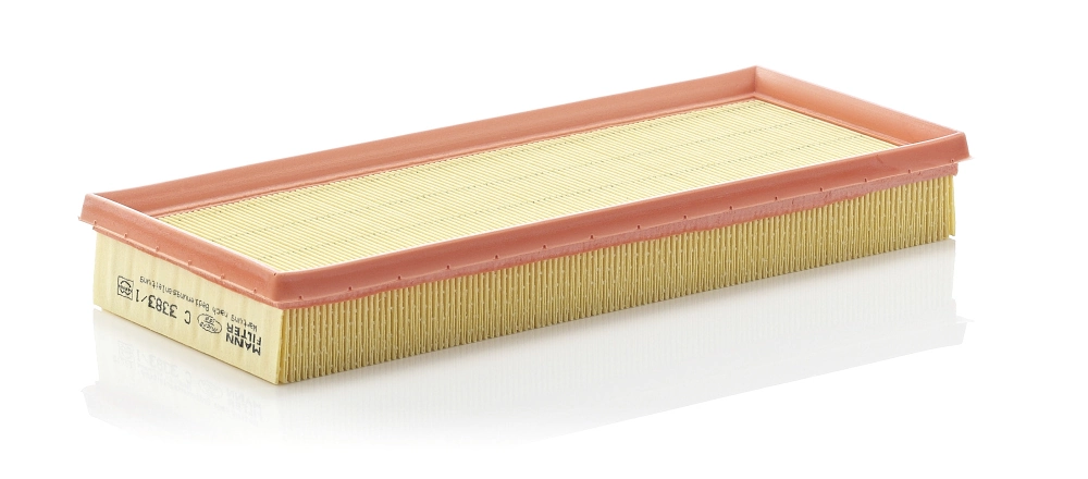 Air Filter C 3383/1