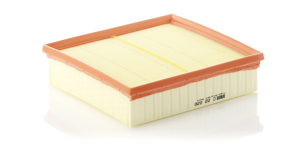 Air Filter C 22 020