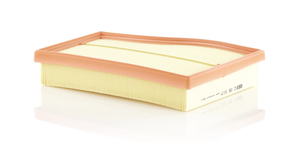 Air Filter C 26 017