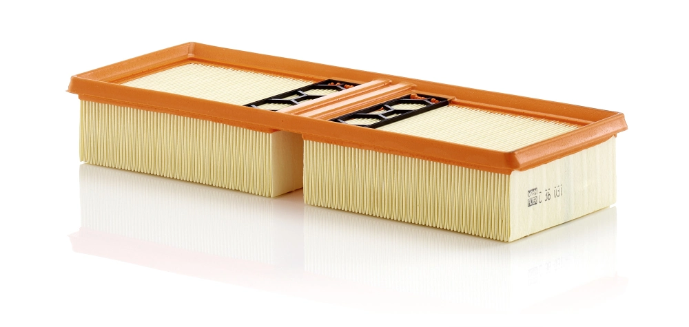 Air Filter C 36 031
