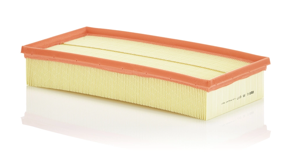 Air Filter C 35 017