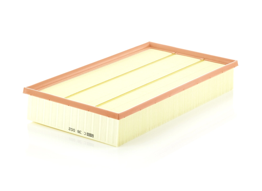Air Filter C 38 002