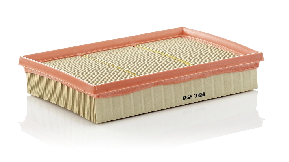 Air Filter C 2589