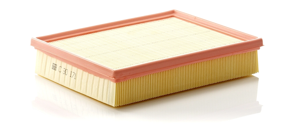 Air Filter C 30 171
