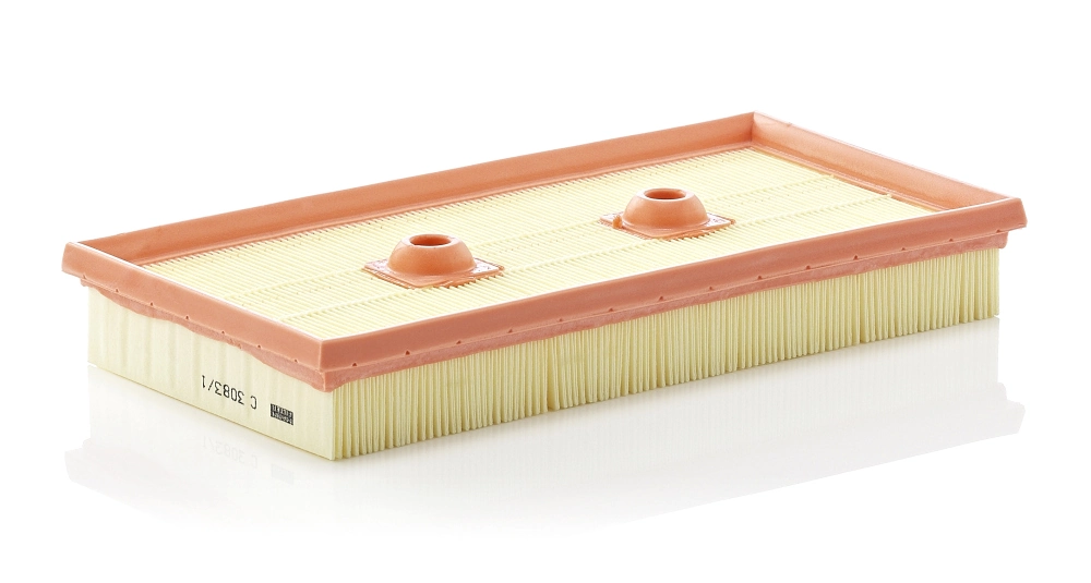Air Filter C 3083/1
