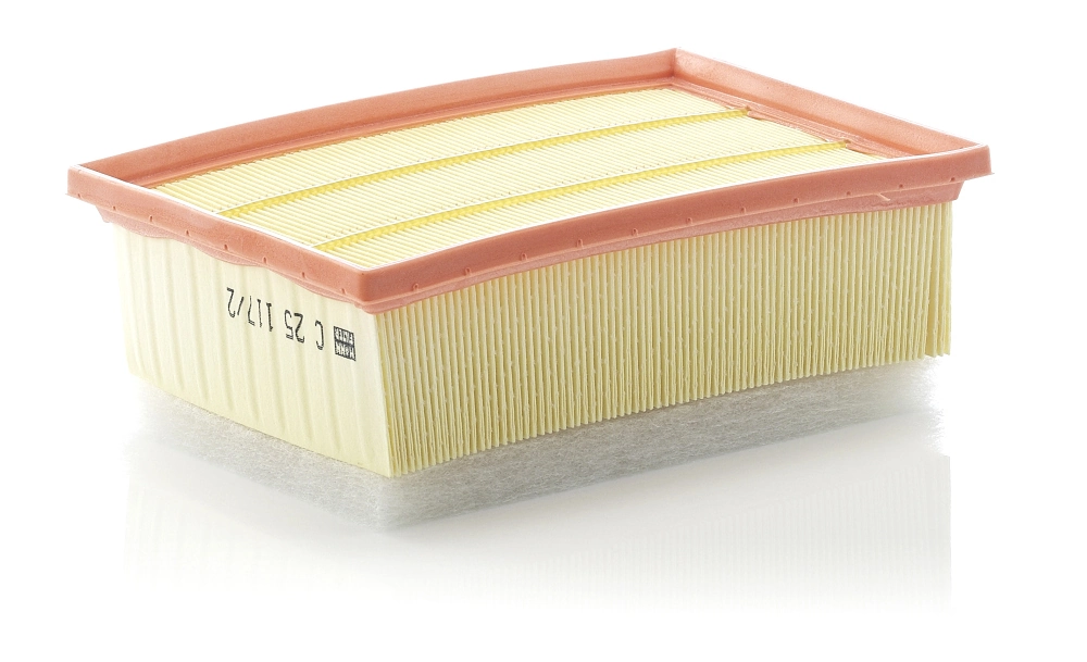 Air Filter C 25 117/2