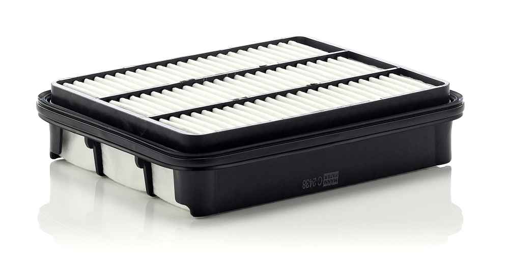 Air Filter C 2438