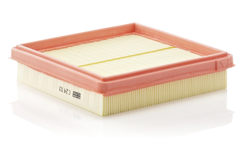 Air Filter C 24 113