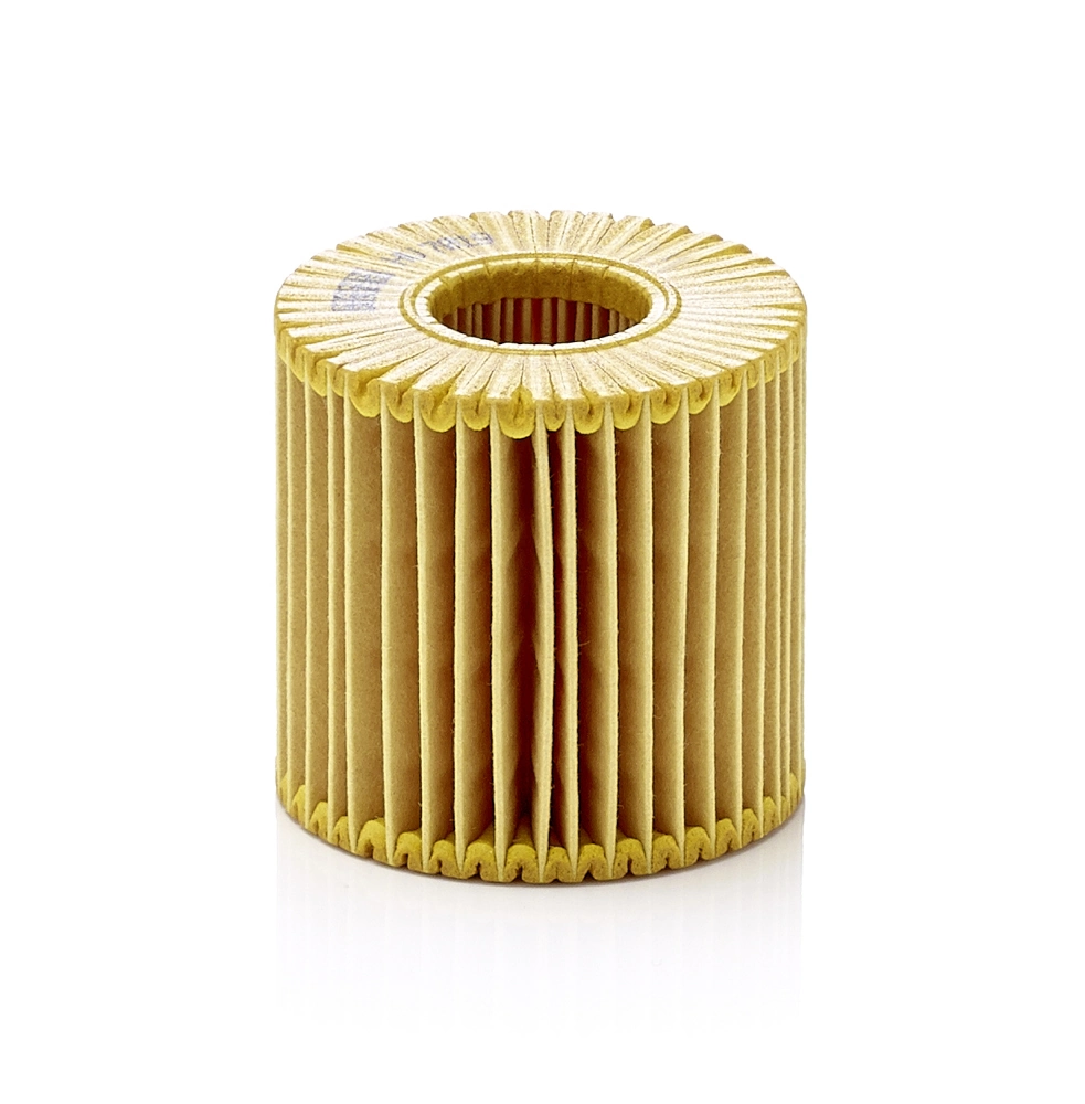 Oil Filter HU 7019 z